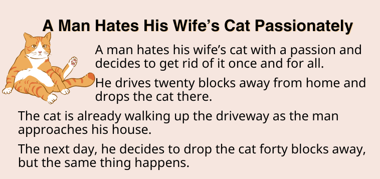 A Man Hates His Wife’s Cat Passionately