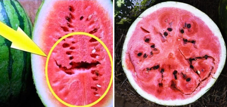 If you open a watermelon you find these cracks in it thumb