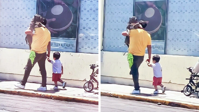 A fathers decision to carry his dog instead of his son has sparked a viral curiosity