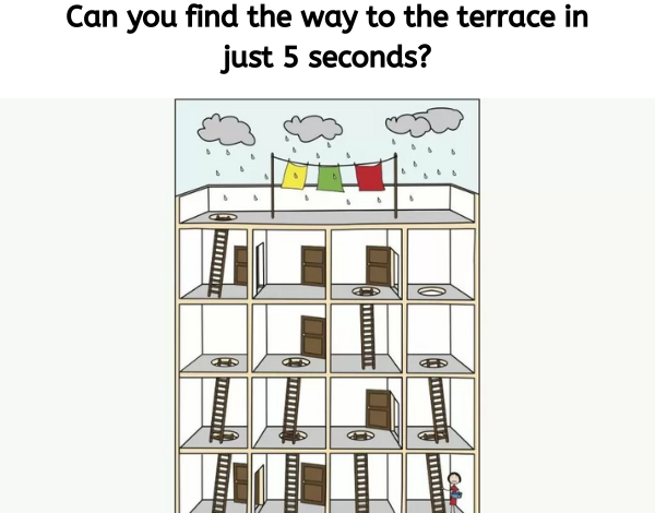 Can you find the way to the terrace in just 5 seconds