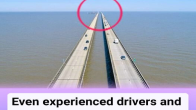 Even Experienced Drivers And Motorists Are Scared To Cross This Bridge