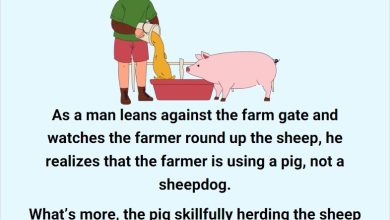 The Farmer And His 3 Legged Pig