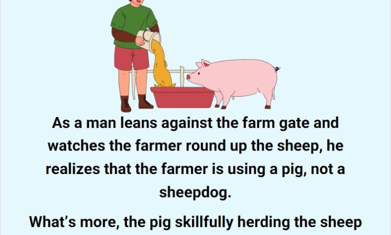 The Farmer And His 3 Legged Pig