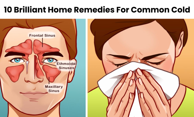 10 Brilliant Home Remedies For Common Cold