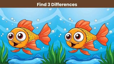 Find 3 differences fish pictures