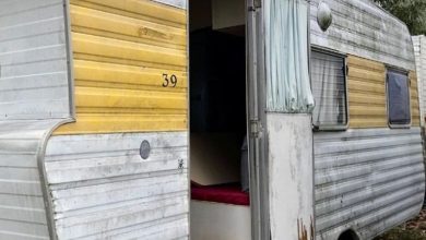 Good People Gave a Homeless Woman an Old Trailer The Woman Turned It Into a Cozy House In The Middle Of The Forest