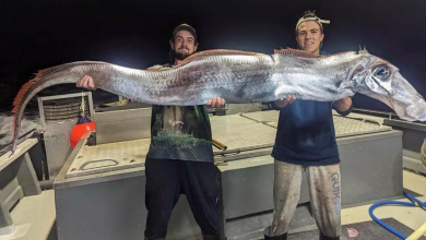 Fishermen Catch Terrifying