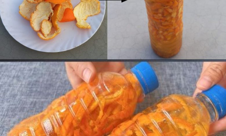 Harnessing the Power of Citrus Peels and Vinegar for Eco