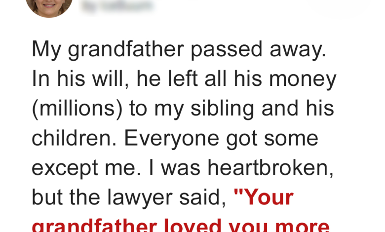 I Was Upset That My Grandfather Only Left Me an Old Apiary until I Looked into the Beehives e1728695805515