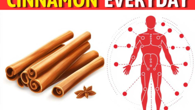 If You Eat Cinnamon Everyday This Is The Powerful Effect On Your Body2222 e1727922800547