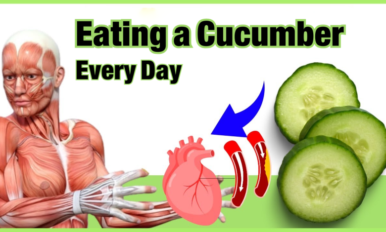 Things That Can Happen to Your Body If You Start Eating One Cucumber a Day